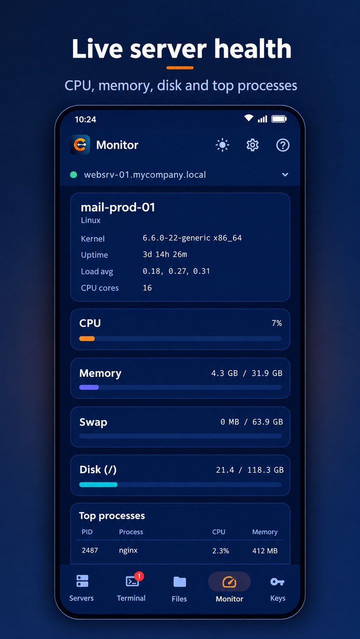 Centra's server monitor in the dark theme showing kernel, uptime, load and CPU cores, with CPU, memory, swap and disk bars and a top processes table